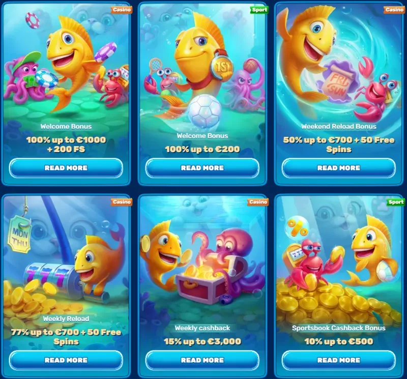 spinfin bonus